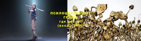 каннабис Инсар