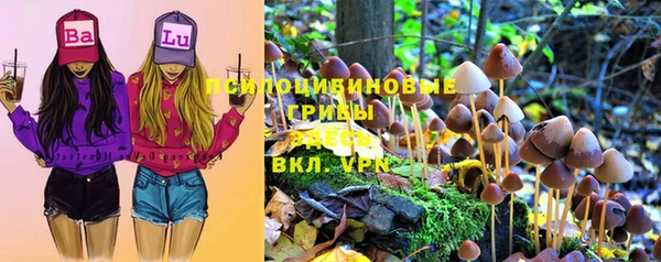 не бодяженный Инта