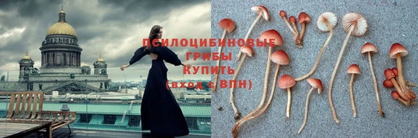 не бодяженный Инта