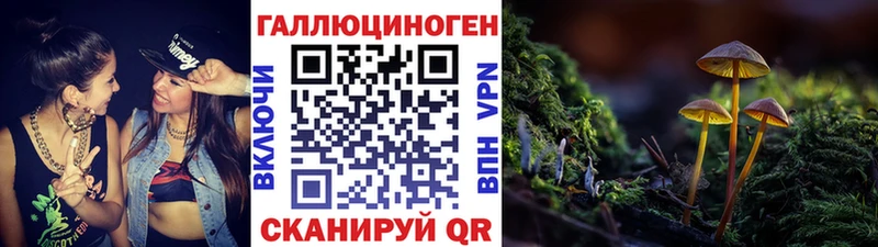 Купить закладки  Зеленогорск  Галлюциногенные грибы прущие грибы 
